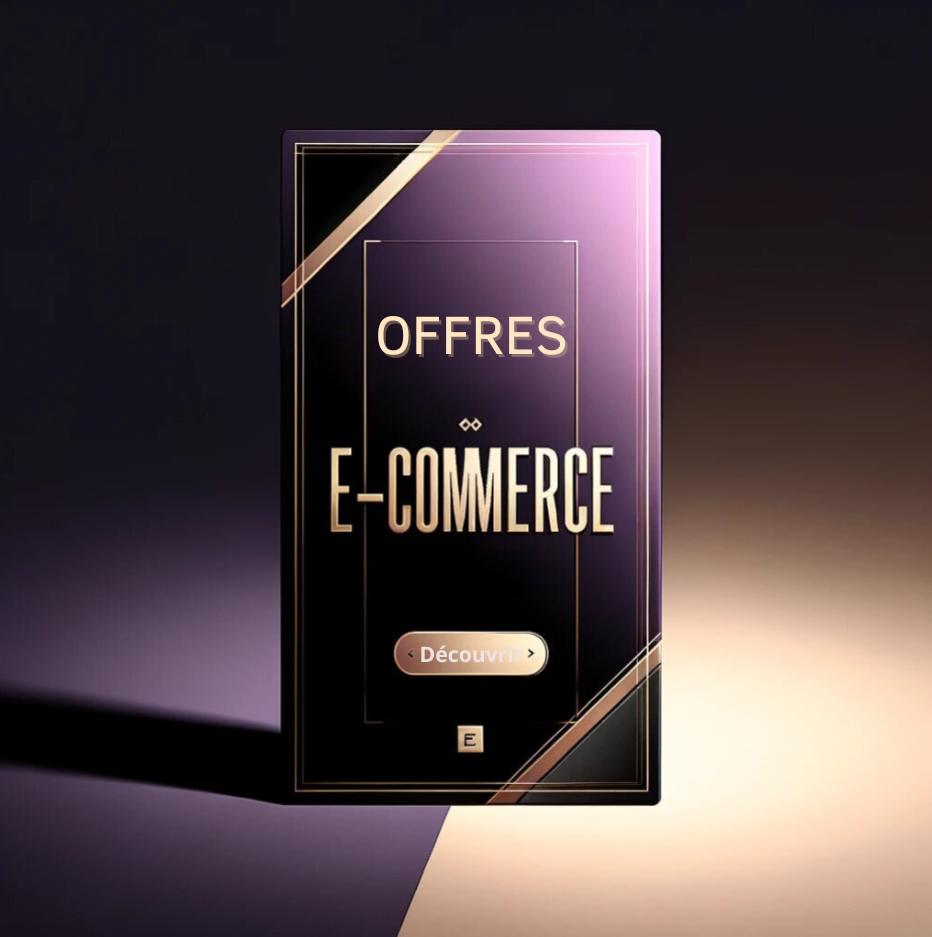 Offre E-Commerce de Lions Web, présentant des solutions de boutique en ligne innovantes pour les entreprises.